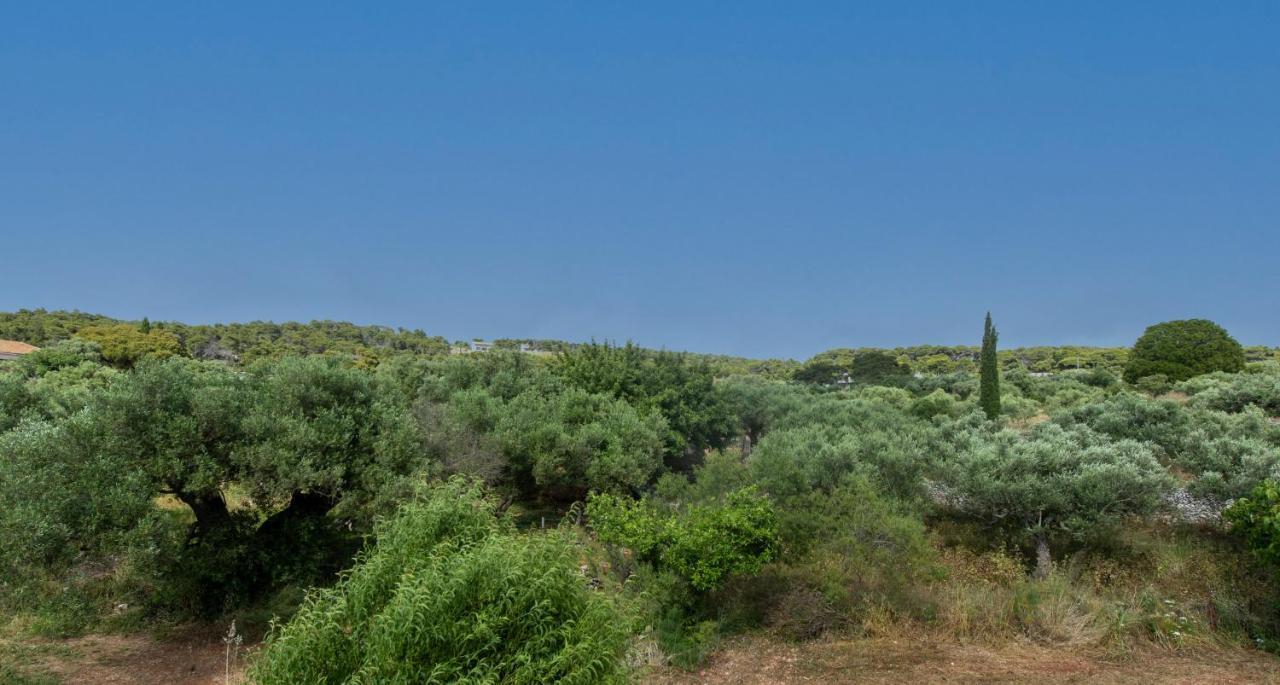 Melissa Luxury Apartament Agios Leon